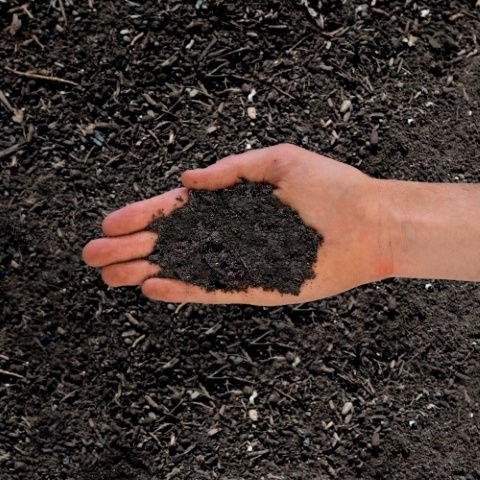 12mm, 20mm-40mm Bio-N-Rich™ Organic Compost